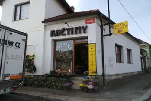 KVĚTINY U KALINŮ