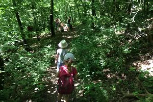 Lesní klub Studánka